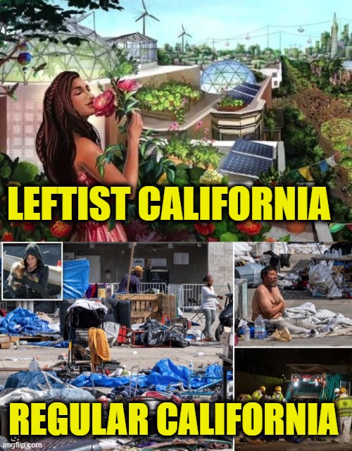 California is destroying itself | LEFTIST CALIFORNIA; REGULAR CALIFORNIA | image tagged in california | made w/ Imgflip meme maker