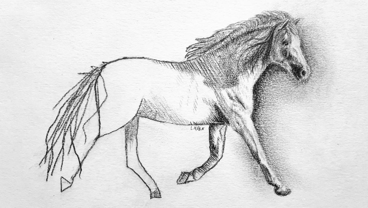 Reverse horse drawing Blank Meme Template