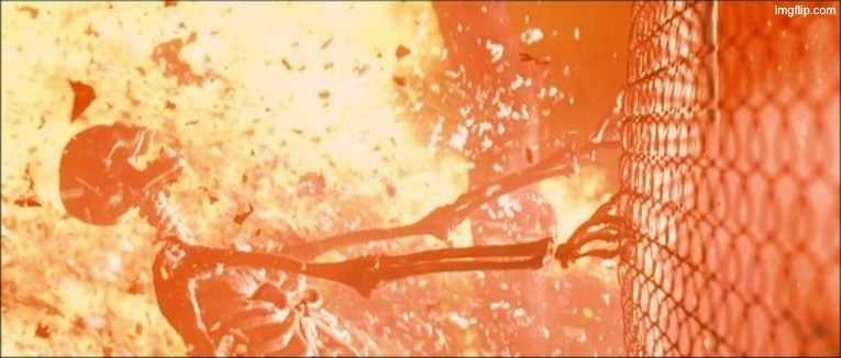 Sarah Connor Fence Nuclear Fire Death | image tagged in sarah connor fence nuclear fire death | made w/ Imgflip meme maker