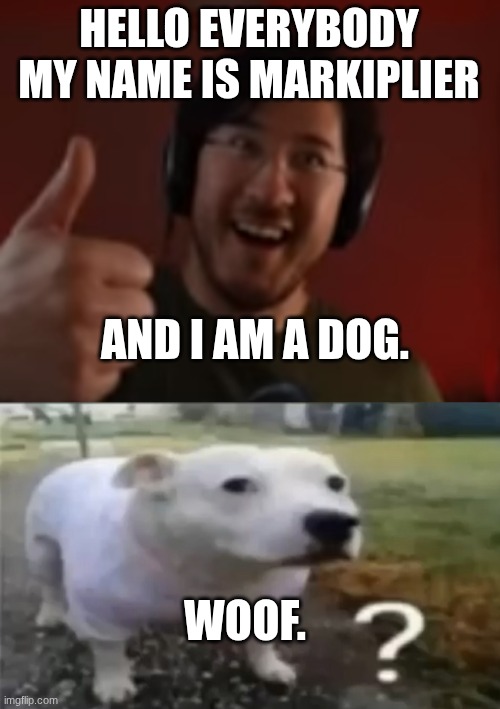 Mark,no. | HELLO EVERYBODY MY NAME IS MARKIPLIER; AND I AM A DOG. WOOF. | image tagged in markiplier thumbs up | made w/ Imgflip meme maker