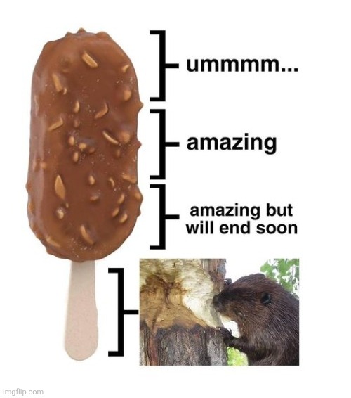 ummmm...

amazing

amazing but will end soon | made w/ Imgflip meme maker