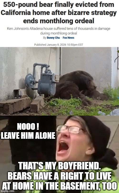 Libs Want a Bear | NOOO !
LEAVE HIM ALONE; THAT'S MY BOYFRIEND.
BEARS HAVE A RIGHT TO LIVE AT HOME IN THE BASEMENT, TOO | image tagged in screaming liberal,leftists,basement,boyfriend,democrats,sjw | made w/ Imgflip meme maker