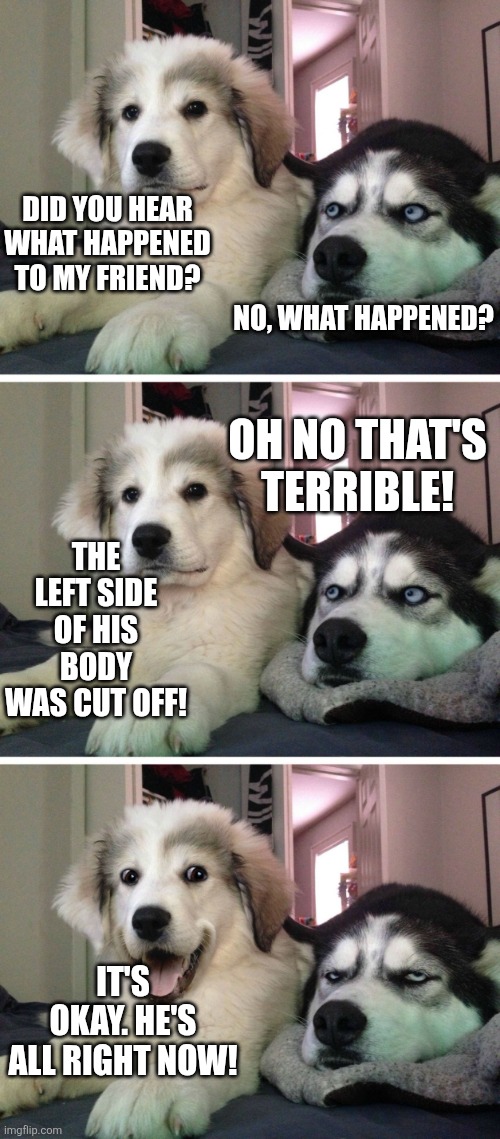 Doggo Tells Joke | DID YOU HEAR WHAT HAPPENED TO MY FRIEND? NO, WHAT HAPPENED? OH NO THAT'S TERRIBLE! THE LEFT SIDE OF HIS BODY WAS CUT OFF! IT'S OKAY. HE'S ALL RIGHT NOW! | image tagged in dog bad joke | made w/ Imgflip meme maker