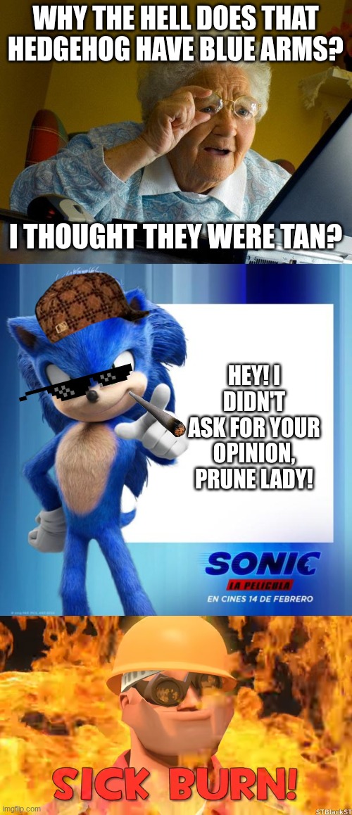 Sonic is a douchebag | WHY THE HELL DOES THAT HEDGEHOG HAVE BLUE ARMS? I THOUGHT THEY WERE TAN? HEY! I DIDN'T ASK FOR YOUR OPINION, PRUNE LADY! | image tagged in memes,grandma finds the internet,movie sonic says,sick burn | made w/ Imgflip meme maker