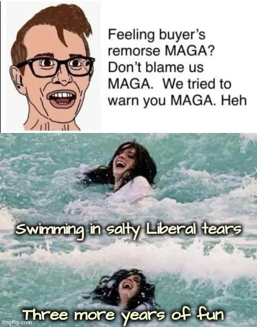 Don't worry liberals , I'm fine | Three more years of fun | image tagged in maga is fun,stupid liberals,same stuff,over and over,insanity,perfect fit | made w/ Imgflip meme maker