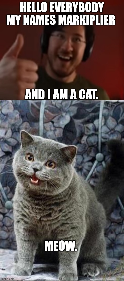 mark is a cat. | HELLO EVERYBODY MY NAMES MARKIPLIER; AND I AM A CAT. MEOW. | image tagged in markiplier thumbs up | made w/ Imgflip meme maker