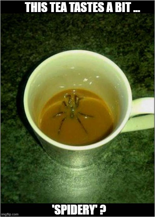 How About A Nice Invigorating 'Cuppa' To Start The Day ? | THIS TEA TASTES A BIT ... 'SPIDERY' ? | image tagged in mornings,tea,spider | made w/ Imgflip meme maker