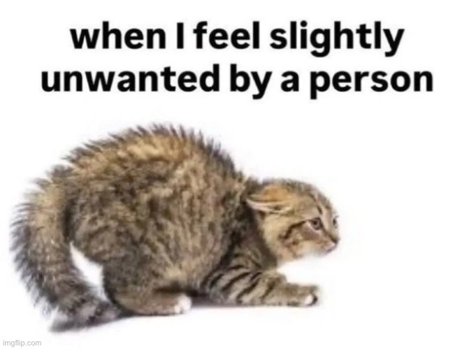 Real tbh | made w/ Imgflip meme maker