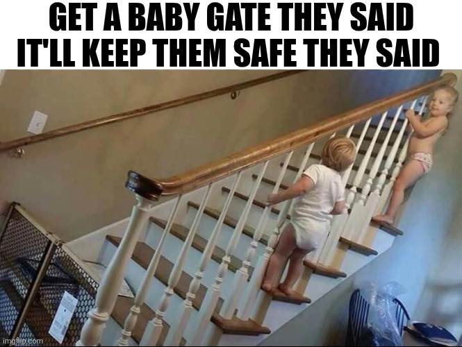Get A Baby Gate They Said It'll Keep Them Safe They Said | GET A BABY GATE THEY SAID IT'LL KEEP THEM SAFE THEY SAID | image tagged in chrisjoines1 | made w/ Imgflip meme maker