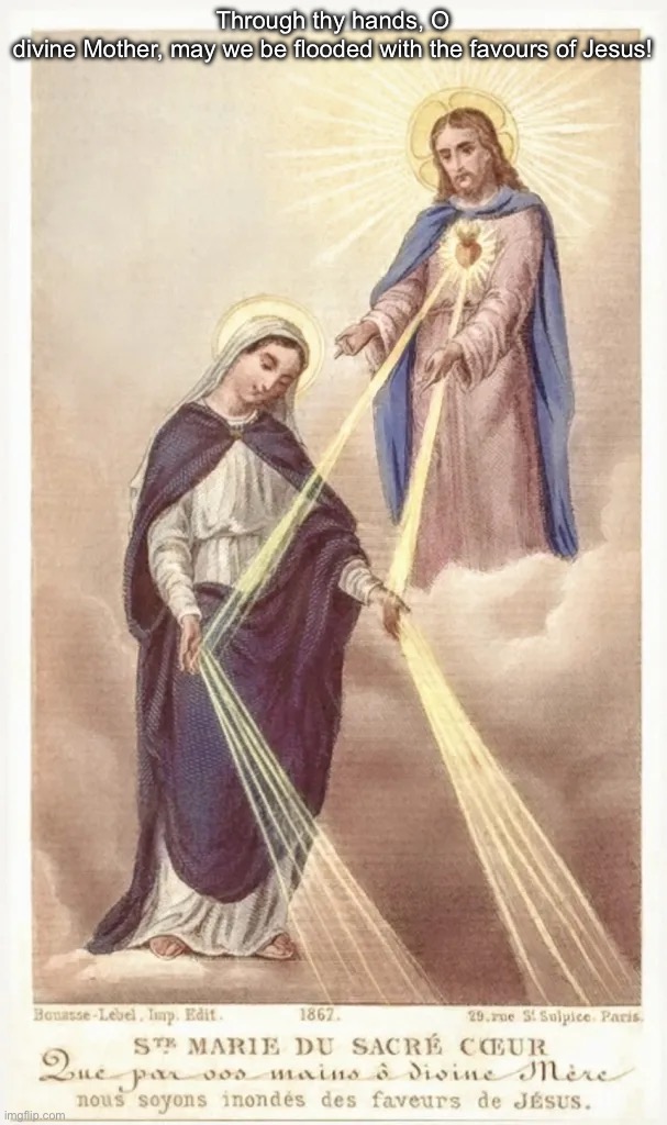Litany to Mary, Our Co redemptrix! | Through thy hands, O divine Mother, may we be flooded with the favours of Jesus! | made w/ Imgflip meme maker