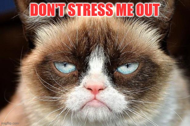 Stress | DON'T STRESS ME OUT | image tagged in memes,grumpy cat not amused,grumpy cat,funny memes | made w/ Imgflip meme maker