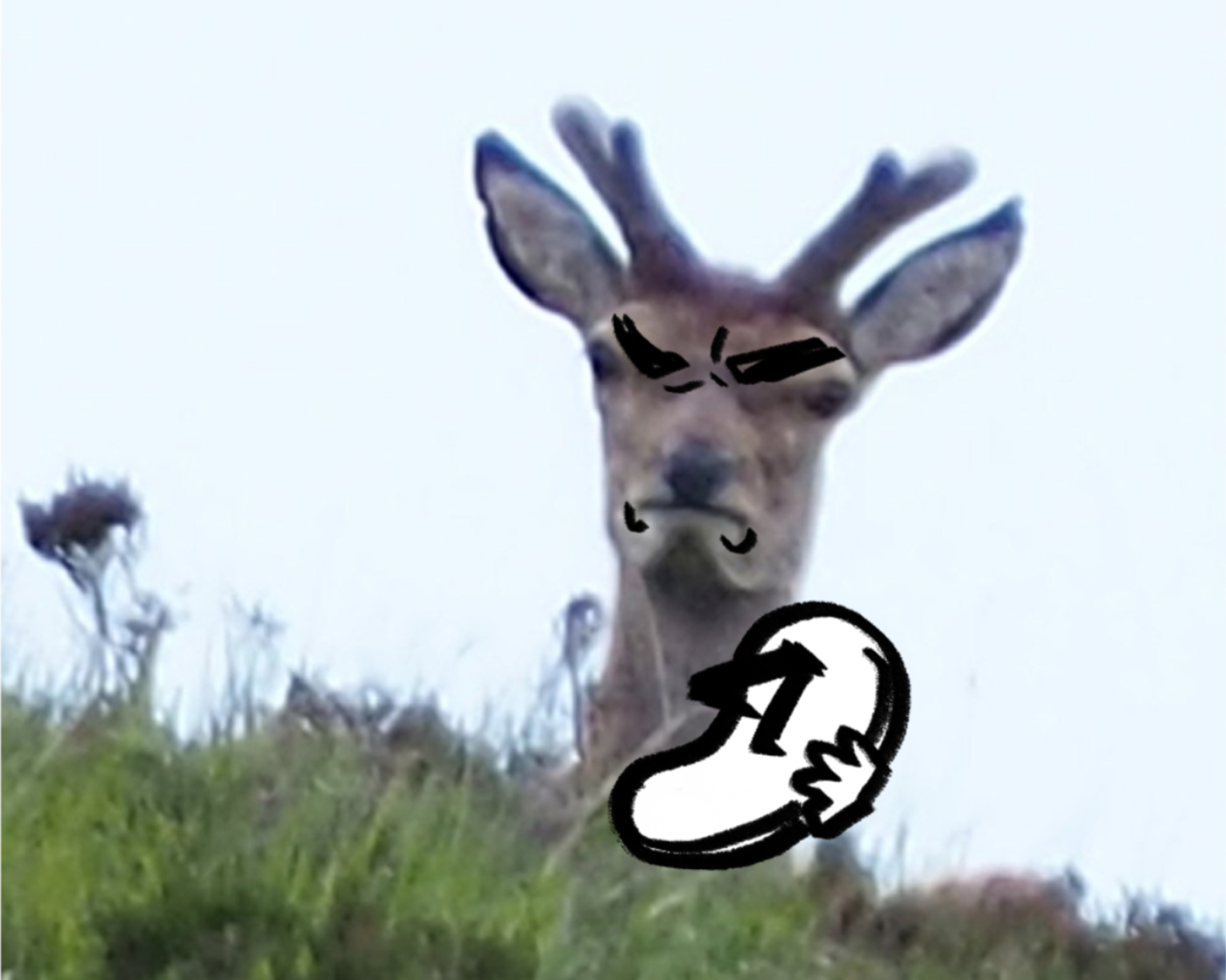 angry deer Blank Meme Template