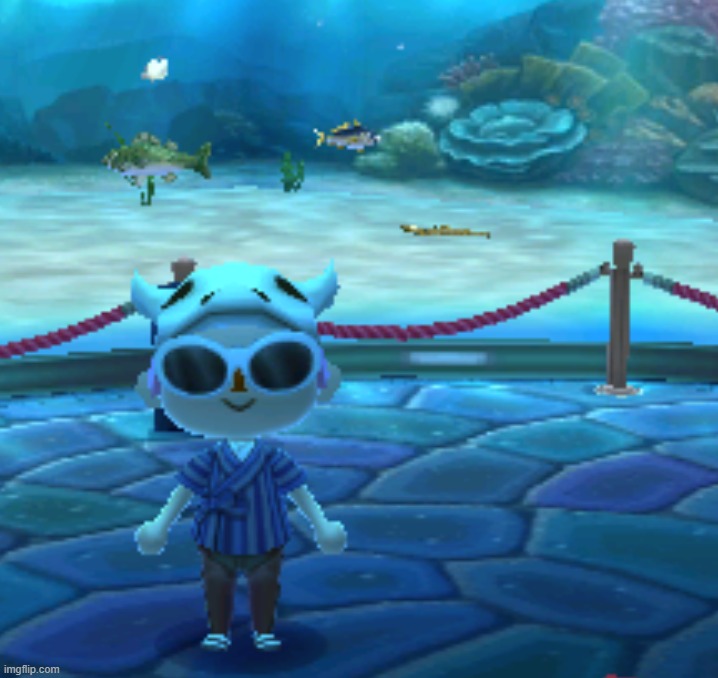 starting to donate fish to the museum | made w/ Imgflip meme maker