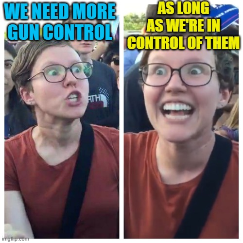 Social Justice Warrior Hypocrisy | WE NEED MORE GUN CONTROL AS LONG AS WE'RE IN CONTROL OF THEM | image tagged in social justice warrior hypocrisy | made w/ Imgflip meme maker