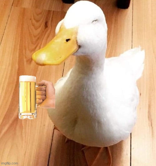 SMILE DUCK | image tagged in smile duck | made w/ Imgflip meme maker