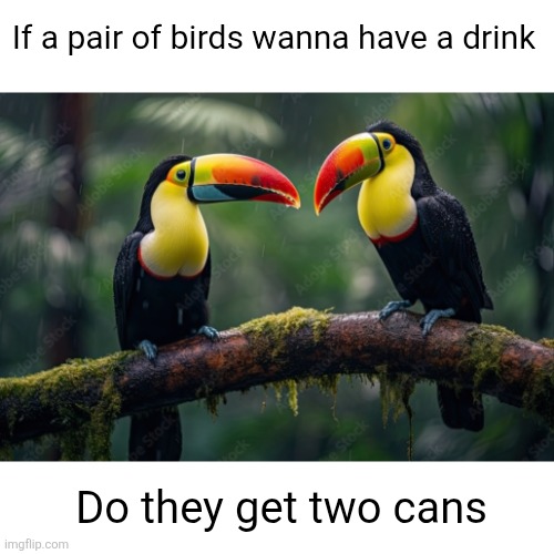 im sorry | If a pair of birds wanna have a drink; Do they get two cans | image tagged in toucans,birds,memes,dad joke,cans,drinks | made w/ Imgflip meme maker