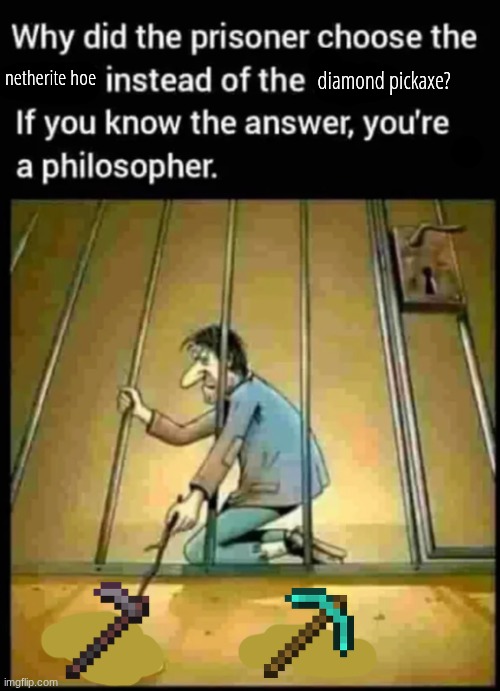 why | diamond pickaxe? netherite hoe | made w/ Imgflip meme maker