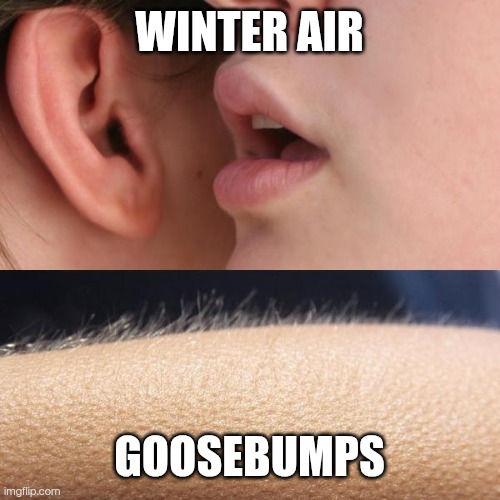 Whisper and Goosebumps | WINTER AIR; GOOSEBUMPS | image tagged in whisper and goosebumps | made w/ Imgflip meme maker