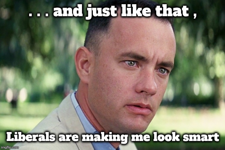 Definition of insanity | . . . and just like that , Liberals are making me look smart | image tagged in memes,and just like that,same stuff,over and over and over,never learn,it will work this time | made w/ Imgflip meme maker