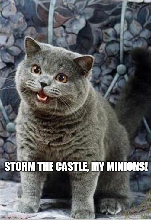 I can has cheezburger cat | STORM THE CASTLE, MY MINIONS! | image tagged in i can has cheezburger cat | made w/ Imgflip meme maker