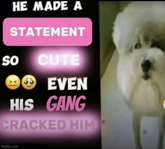 cracking bro be like: | made w/ Imgflip meme maker