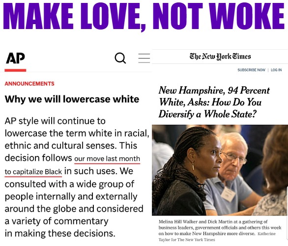 Oh just do that EU flooding-thing every Nation loves | MAKE LOVE, NOT WOKE | image tagged in woke,diversity,identity politics,politics | made w/ Imgflip meme maker