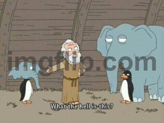 What the Hell is this? | image tagged in what the hell is this | made w/ Imgflip meme maker