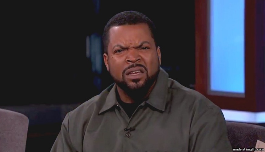 Really? Ice Cube | image tagged in really ice cube | made w/ Imgflip meme maker