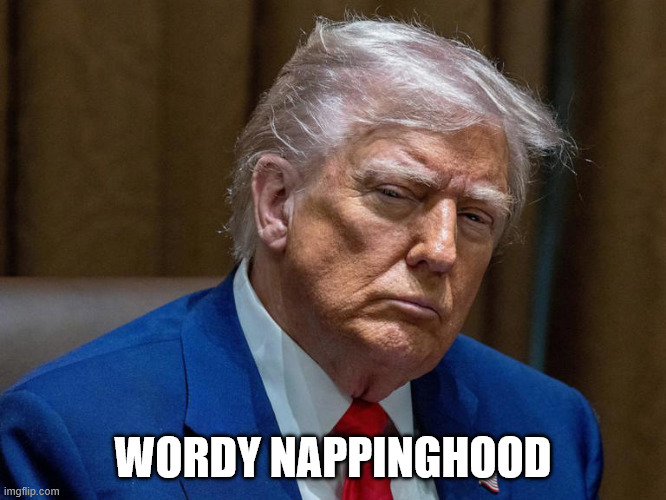 WORDY NAPPINGHOOD | image tagged in trump's nap extends till noon he doesn't like being awakened | made w/ Imgflip meme maker