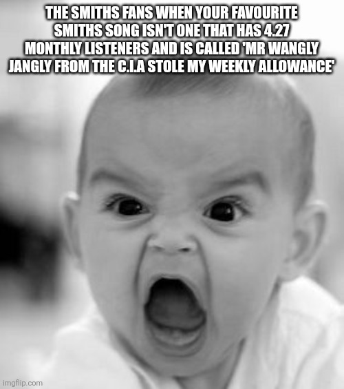 Angry Baby Meme | THE SMITHS FANS WHEN YOUR FAVOURITE SMITHS SONG ISN'T ONE THAT HAS 4.27 MONTHLY LISTENERS AND IS CALLED 'MR WANGLY JANGLY FROM THE C.I.A STOLE MY WEEKLY ALLOWANCE' | image tagged in memes,angry baby | made w/ Imgflip meme maker