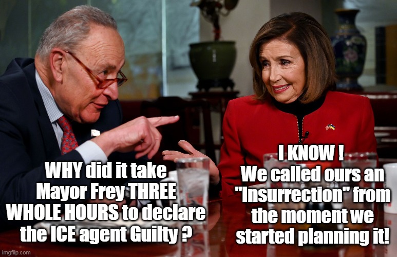 Case Closed | WHY did it take Mayor Frey THREE WHOLE HOURS to declare the ICE agent Guilty ? I KNOW ! 
We called ours an "Insurrection" from the moment we | image tagged in lefty blame game lies meme | made w/ Imgflip meme maker