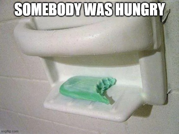 Yum, Soap | SOMEBODY WAS HUNGRY | image tagged in unsee juice | made w/ Imgflip meme maker