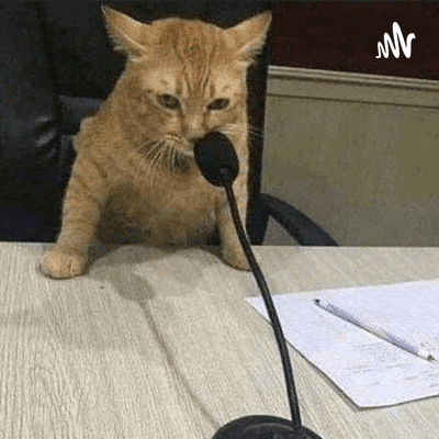 Cat micro Blank Meme Template