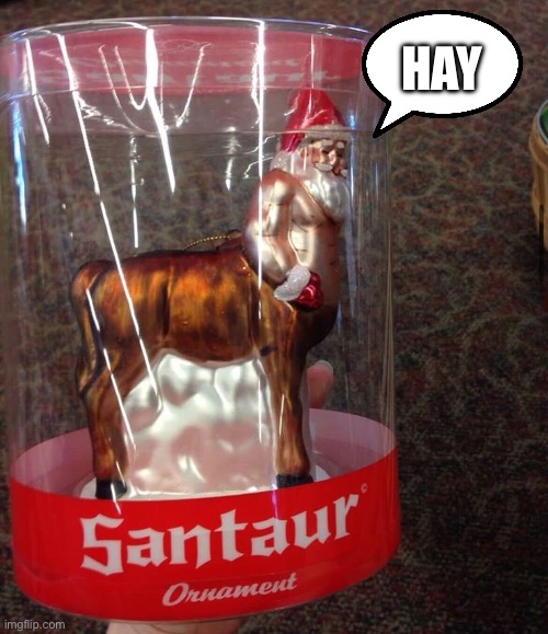Horsanta | HAY | image tagged in santa,horse,centaur | made w/ Imgflip meme maker