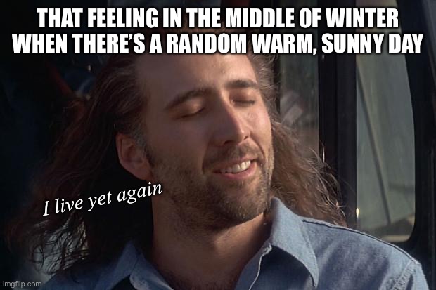 nicholas cage | THAT FEELING IN THE MIDDLE OF WINTER WHEN THERE’S A RANDOM WARM, SUNNY DAY; I live yet again | image tagged in nicholas cage | made w/ Imgflip meme maker