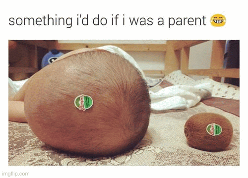 image tagged in gifs | made w/ Imgflip images-to-gif maker