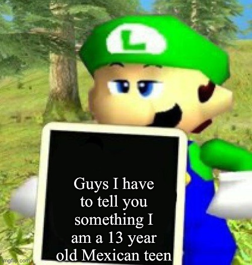 The truth | Guys I have to tell you something I am a 13 year old Mexican teen | image tagged in luigi holding a sign | made w/ Imgflip meme maker