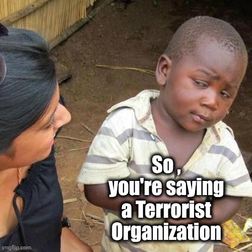 Third World Skeptical Kid Meme | So , you're saying a Terrorist Organization | image tagged in memes,third world skeptical kid | made w/ Imgflip meme maker