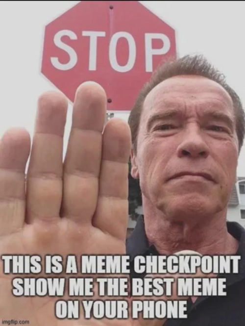 . | image tagged in arnold schwarzenegger | made w/ Imgflip meme maker