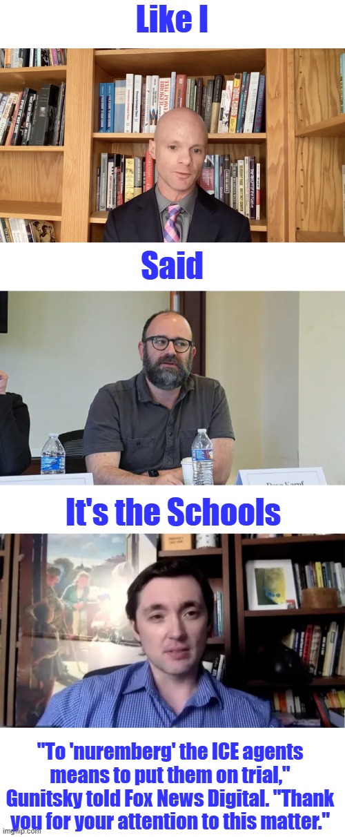 "[A]bolish ICE is the moderate position to be honest. [W]hichever candidate promises to nuremberg the [ICE] agents has my vote | Like I; Said; It's the Schools; "To 'nuremberg' the ICE agents means to put them on trial," Gunitsky told Fox News Digital. "Thank you for your attention to this matter." | made w/ Imgflip meme maker