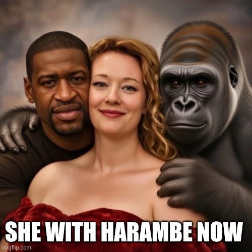 SHE WITH HARAMBE NOW | made w/ Imgflip meme maker