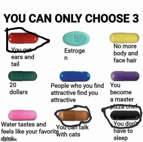 you can only choose 3 | image tagged in you can only choose 3 | made w/ Imgflip meme maker