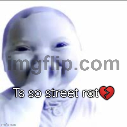Ts so street rat | image tagged in ts so street rat | made w/ Imgflip meme maker