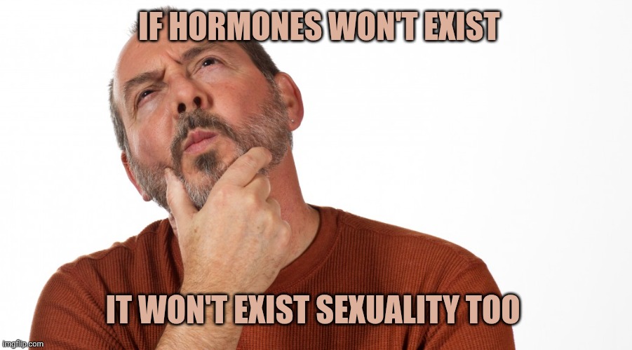 Hmmm | IF HORMONES WON'T EXIST; IT WON'T EXIST SEXUALITY TOO | image tagged in hmmm | made w/ Imgflip meme maker
