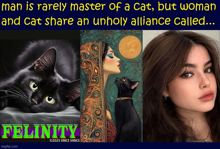 A Meeting of the Minds | image tagged in vince vance,cats,meow,women,unholy,alliance | made w/ Imgflip meme maker