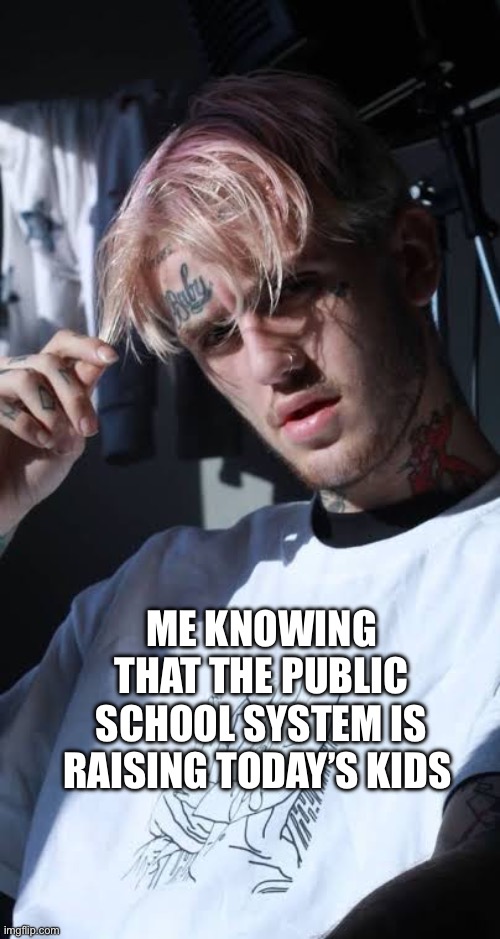 ME KNOWING THAT THE PUBLIC SCHOOL SYSTEM IS RAISING TODAY’S KIDS | image tagged in sad,politics | made w/ Imgflip meme maker