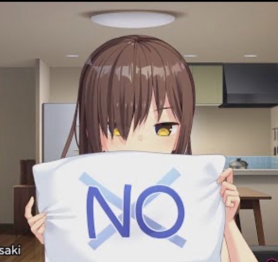 Asane the pillow girl Blank Meme Template