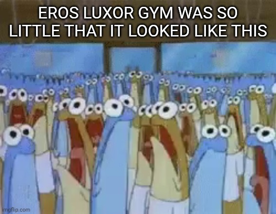 SpongeBob sardines | EROS LUXOR GYM WAS SO LITTLE THAT IT LOOKED LIKE THIS | image tagged in spongebob sardines | made w/ Imgflip meme maker