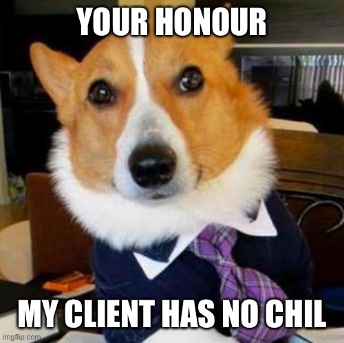 No chill | YOUR HONOUR; MY CLIENT HAS NO CHIL | image tagged in lawyer dog,chill,no chill,please | made w/ Imgflip meme maker