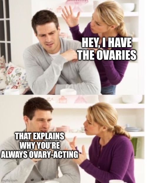 Overly-Action | HEY, I HAVE THE OVARIES; THAT EXPLAINS WHY YOU’RE ALWAYS OVARY-ACTING | image tagged in arguing couple reverse soc,reaction,insult,ovaries,eggs,bad pun | made w/ Imgflip meme maker